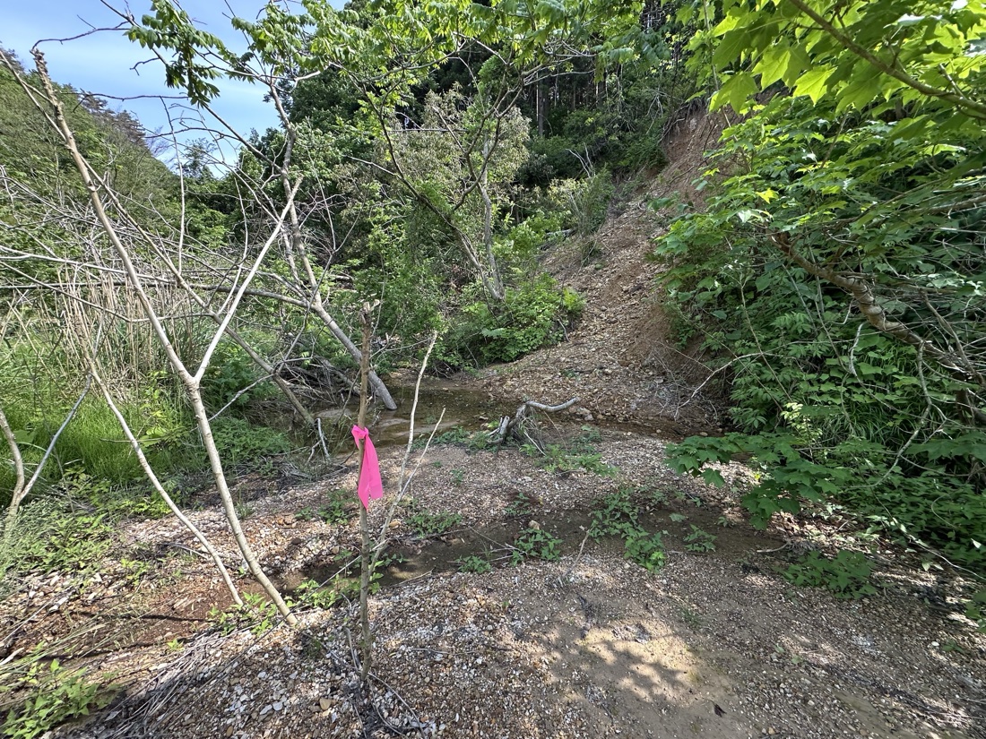 能登での危険予測